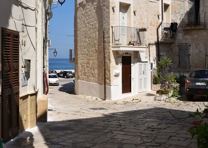 Alojamento de Acomodação e Pequeno-almoço Allo Zefiro 3*